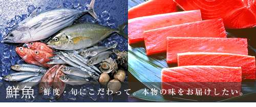 鮮魚 ゆりストアの鮮魚は全て新鮮です。安心してお召し上がりください。